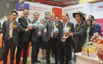 Ảnh bài viết