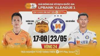Ảnh bài viết