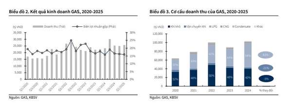 KQKD GAS và cơ cấu
