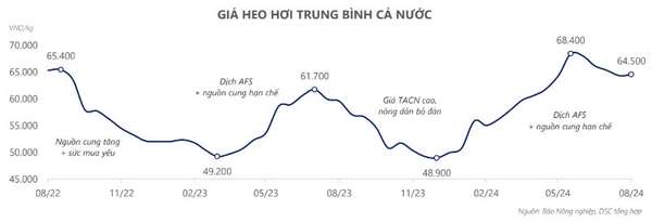 Giá heo và dự án vaccine dịch ASF sẽ kéo cổ phiếu DBC (Dabaco) lập đỉnh mới?