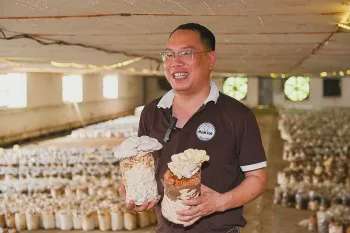 Ảnh bài viết