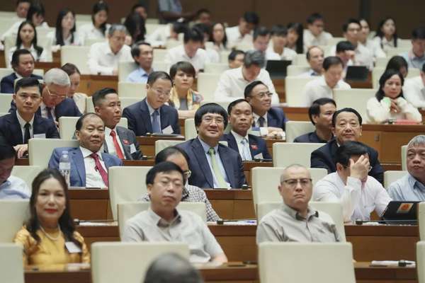 Các đại biểu tham dự Hội nghị