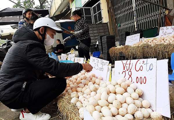Người tiêu dùng mua trứng tại chợ đầu mối phía Nam