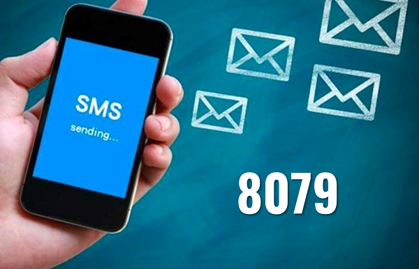 BHXH Việt Nam: Dừng triển khai tin nhắn tra cứu đến đầu số 8079