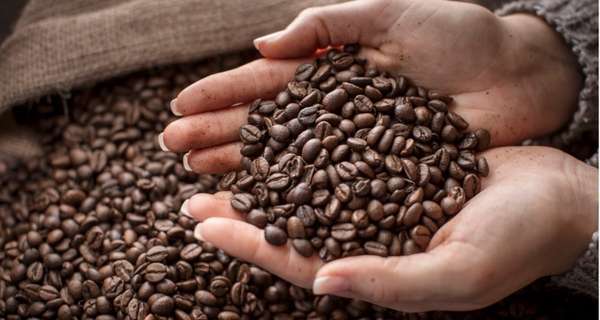 Giá cà phê hôm nay, 05/3: Giá cà phê trong nước giảm 300 đồng/kg