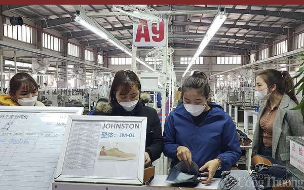 Doanh nghiệp xuất khẩu Nghệ An gặp khó: Loay hoay tìm giải pháp