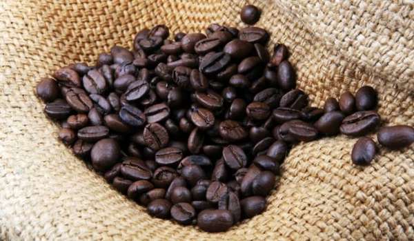 Giá cà phê hôm nay, 08/3: Giá cà phê trong nước giảm 200 đồng/kg