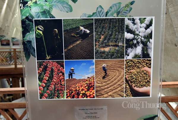Triển lãm ảnh nghệ thuật “Cà phê Việt Nam - Hành trình kiến tạo di sản văn hóa thế giới”