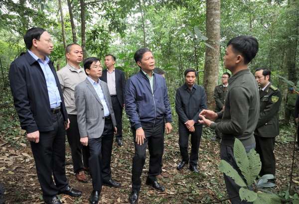 trong buổi sáng cùng ngày, Đoàn công tác đã khảo sát, nắm tình hình thực tế về công tác bảo vệ, phát triển rừng tại tỉnh Quảng Ninh