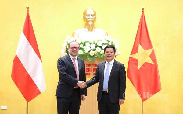 Bộ trưởng Nguyễn Hồng Diên làm việc với Bộ trưởng Bộ Ngoại giao Áo
