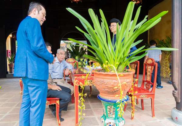 Thừa Thiên Huế: Ngắm gần 1.000 tác phẩm “Kỳ hoa dị thảo” ba miền hội tụ