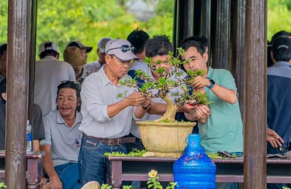 Thừa Thiên Huế: Ngắm gần 1.000 tác phẩm “Kỳ hoa dị thảo” ba miền hội tụ
