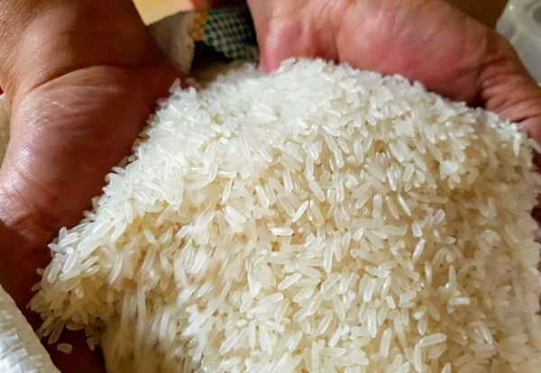 Ấ2 tháng đầu năm 2023, giá gạo xuất khẩu bình quân tăng 9,86%