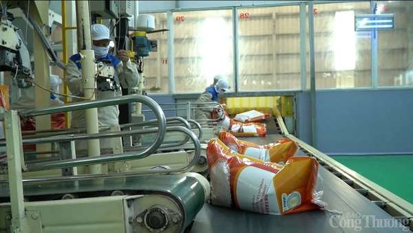 Indonesia mở thầu mua 550.000 tấn gạo, giá gạo Việt Nam sẽ tiếp đà tăng?