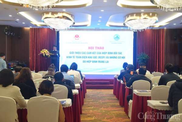 Đà Nẵng: Tập huấn cho doanh nghiệp các cam kết và cơ hội từ hiệp định RCEP