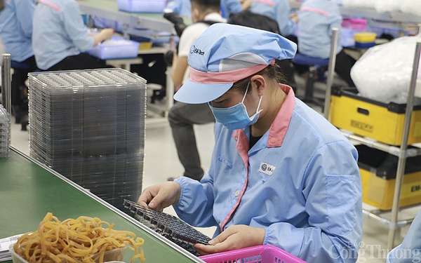 Nghệ An: Người lao động đăng ký bảo hiểm thất nghiệp tăng gần 30%