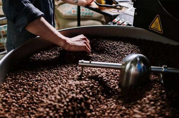 Giá cà phê hôm nay, ngày 11/7/2023: Giá cà phê trong nước duy trì ở mức cao