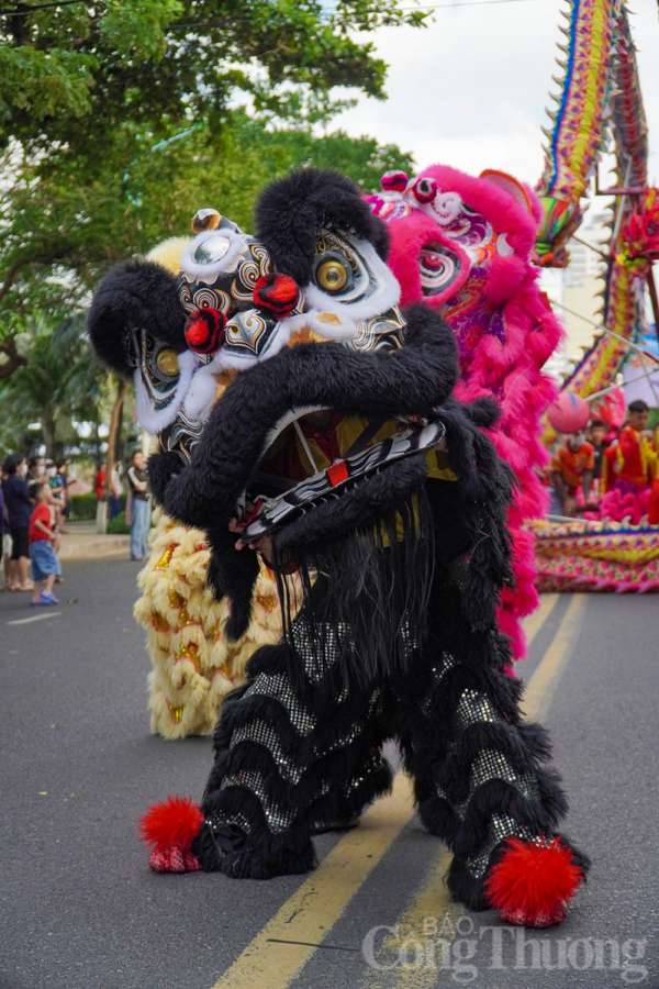 Bắt mắt, hào hứng với Lễ hội Lân Sư Rồng thành phố Nha Trang năm 2023