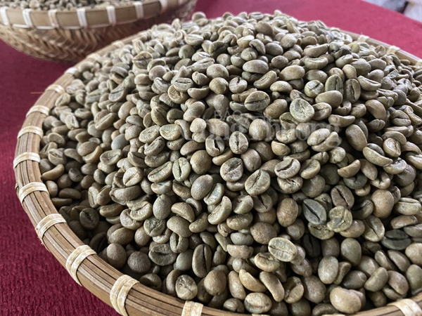 Giá cà phê hôm nay, ngày 14/6: Giá cà phê trong nước cao nhất 64.700 đồng/kg