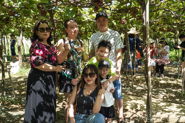 Những vườn nho Ninh Thuận hút khách dịp Lễ hội Nho - Vang 2023