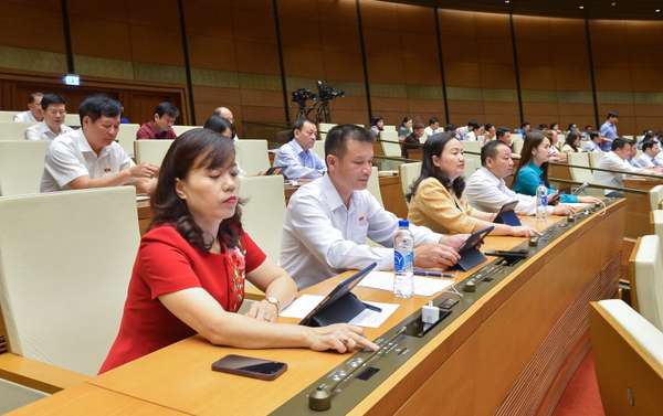 Các đại biểu thuộc Đoàn ĐBQH tỉnh Hà Giang biểu quyết thông qua Luật Đấu thầu (sửa đổi)
