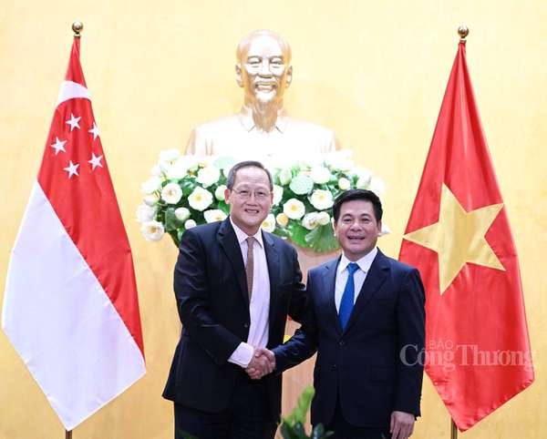 Bộ trưởng Nguyễn Hồng Diên tiếp, hội đàm với Bộ trưởng thứ hai Bộ Công Thương Singapore