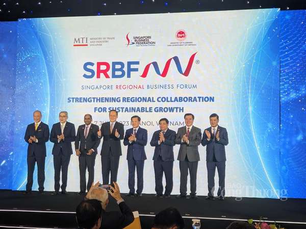 Thứ trưởng Nguyễn Sinh Nhật Tân: Đẩy mạnh kết nối doanh nghiệp Việt Nam - Singapore