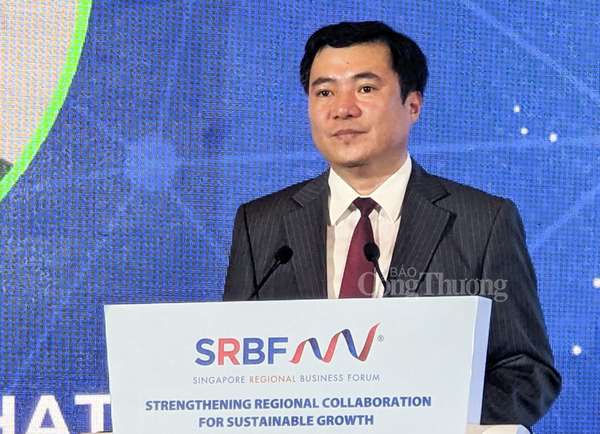 Thứ trưởng Nguyễn Sinh Nhật Tân: Đẩy mạnh kết nối doanh nghiệp Việt Nam - Singapore