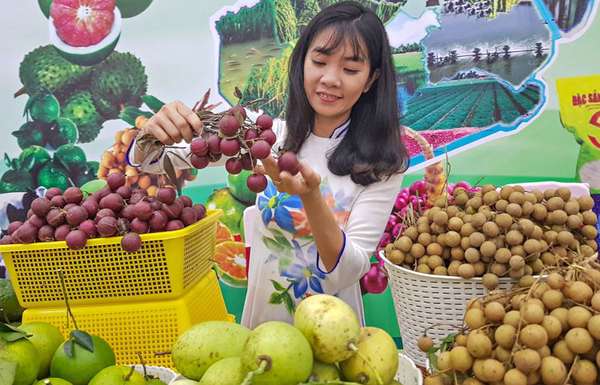 TP Cần Thơ: Khai mạc Ngày hội du lịch Văn hóa chợ nổi Cái Răng