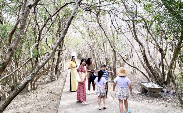 Thừa Thiên Huế: Rừng ngập mặn Rú Chá thu hút du khách