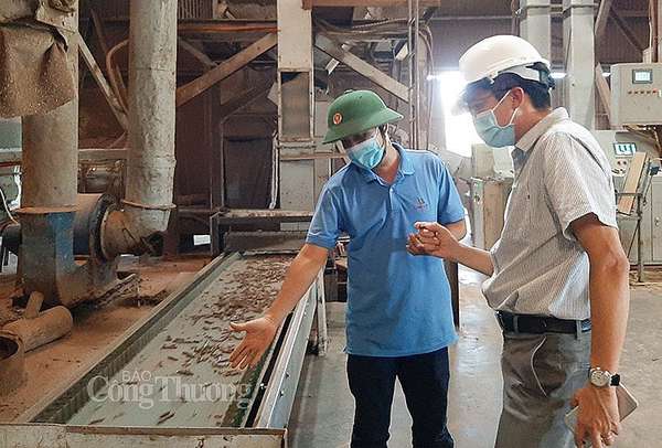 nhà máy sản xuất viên nén gỗ xuất khẩu (ảnh Nguyễn Hạnh