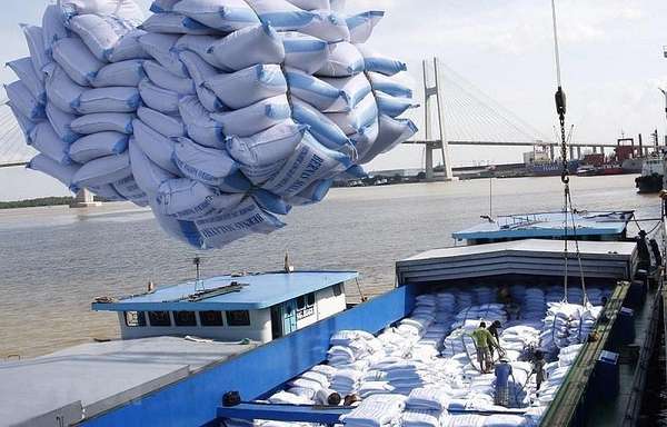 Đến nửa đầu tháng 7, xuất khẩu gạo tăng 28%