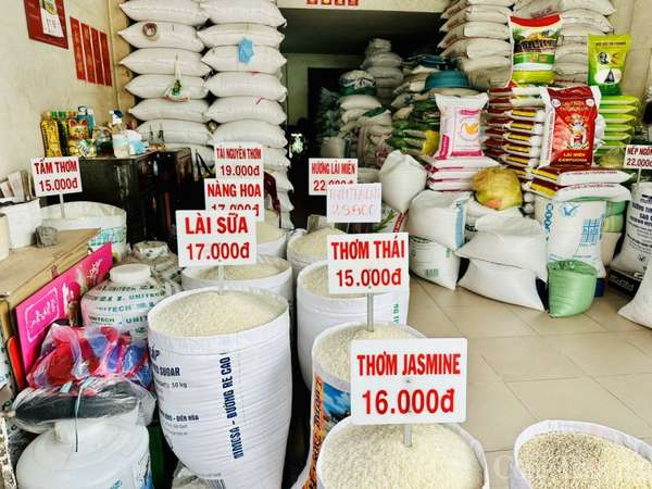 Giá lúa gạo hôm nay ngày 26/7/2023: Giá gạo xuất khẩu tăng 10 USD/tấn