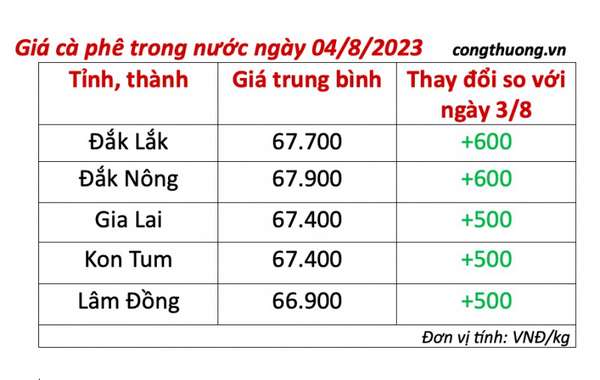 Giá cà phê hôm nay ngày 4/8/2023: Giá cà phê trong nước tiếp đà tăng; giá thu mua cao nhất tại Đăk Nông