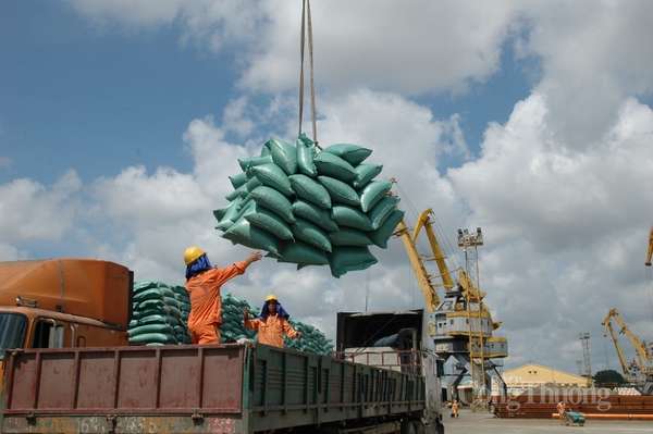 Giá gạo xuất khẩu tiếp tục lập đỉnh, đạt 643 USD/tấn