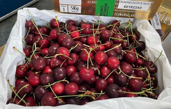 Giá cherry Nhập khẩu từ Mỹ giờ ở mức bình dân giống như nhiều loại quả khác. (Ảnh chụp màn hình)