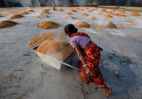 Hiệu ứng Domino từ các lệnh cấm xuất khẩu gạo đặt thị trường vào thế cạnh tranh