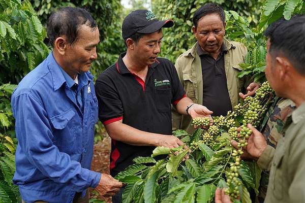 Giá duy trì ở mức cao, xuất khẩu cà phê tiếp tục khởi sắc