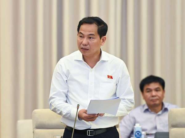 Chủ nhiệm Ủy ban Tài chính, Ngân sách của Quốc hội Lê Quang Mạnh, Phó Trưởng đoàn Thường trực Đoàn giám sát