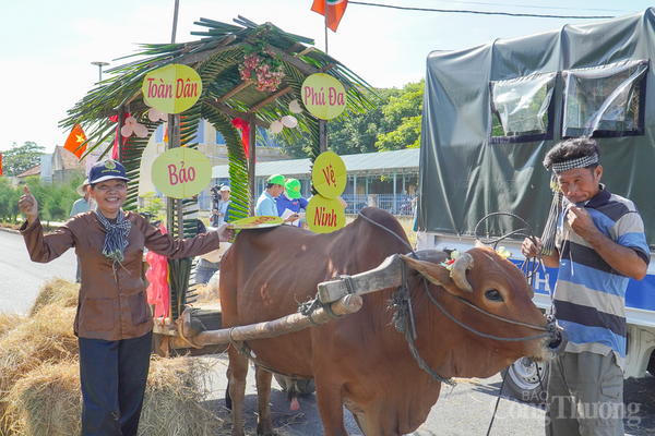 Khánh Hòa: Nhà nông trổ tài đua xe bò