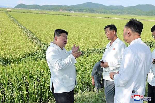 Ông Kim Jong Un thăm các cánh đồng bị bão tàn phá