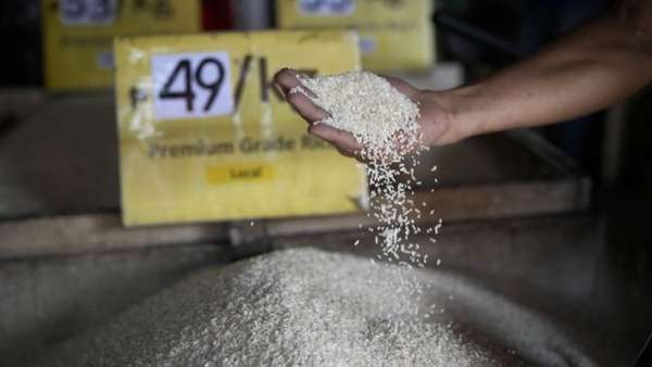 Bài toán lúa gạo và thời điểm quyết định đối với an ninh lương thực toàn cầu