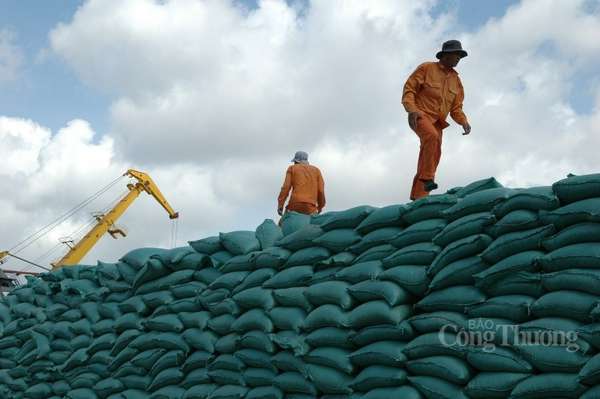 Xuất khẩu gạo tăng vọt gần 90%