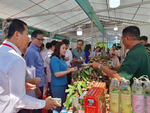 Người tiêu dùng háo hức với Tuần lễ Nhãn lồng - Nông sản tiêu biểu Hưng Yên tại Quảng Ninh
