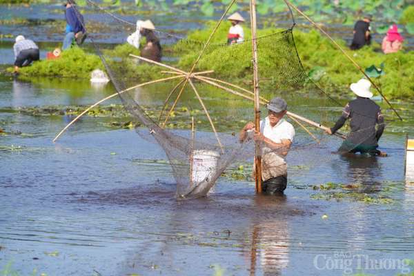 Trằm Trà Lộc: Độc đáo lễ hội tại nơi cả năm chỉ được bắt cá một lần