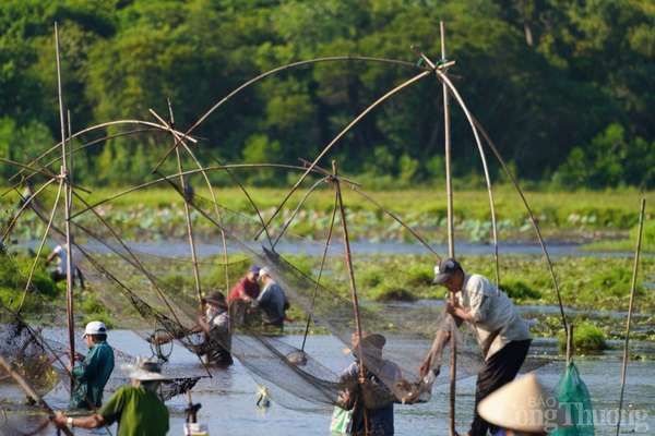 Trằm Trà Lộc: Độc đáo lễ hội tại nơi cả năm chỉ được bắt cá một lần