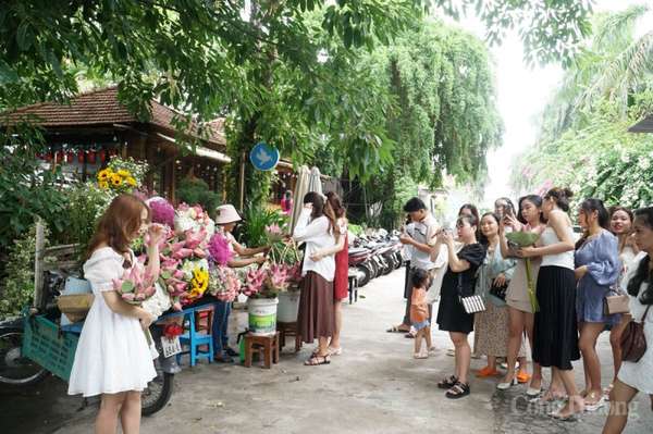 Những xe hoa đưa mùa thu Hà Nội về Đà Nẵng