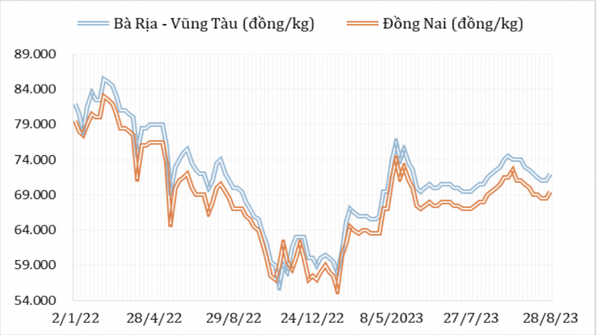 Diễn biến giá hạt tiêu đen tại thị trường nội địa từ đầu năm 2022 đến nay (Nguồn: Hiệp hội Hạt tiêu Việt Nam)