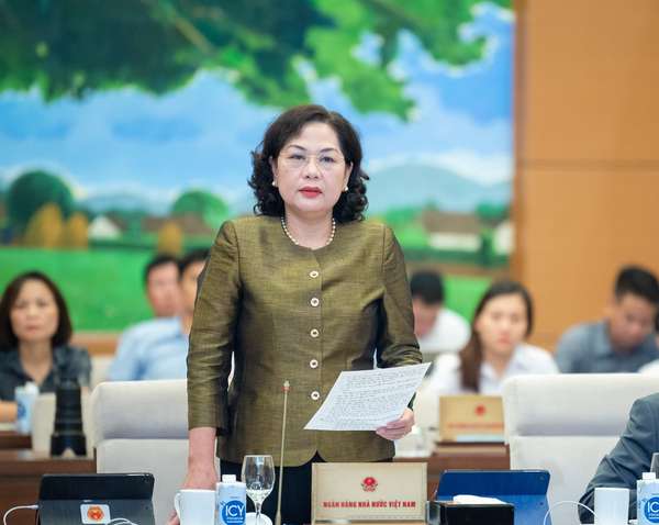 Thống đốc Nguyễn Thị Hồng nói gì về tình trạng xử lý sở hữu chéo ngân hàng?