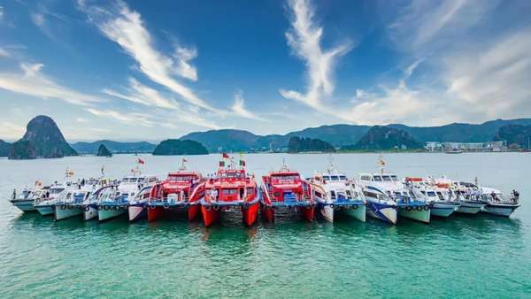 Quảng Ninh: Giảm 20% giá vé tàu cho du khách đến Cô Tô dịp diễn ra Giải Marathon Dấu ấn đảo xanh
